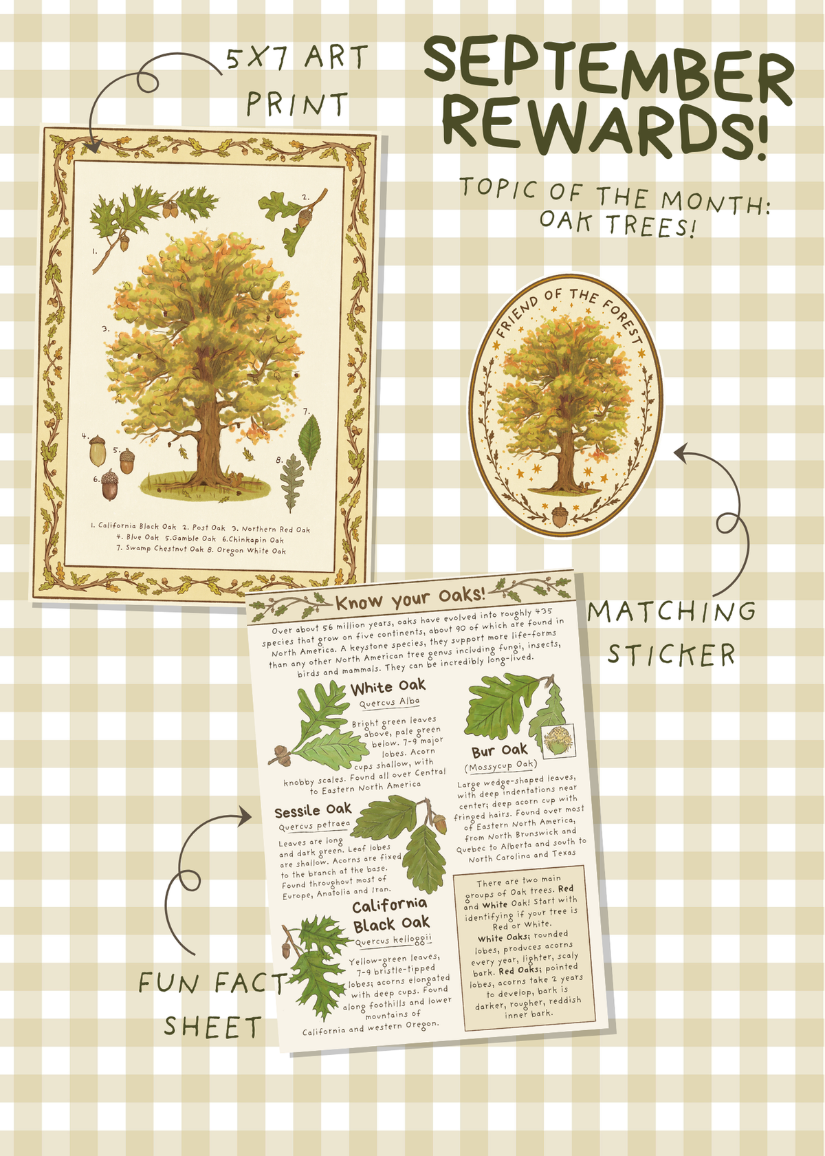 September Mail - Oak Trees