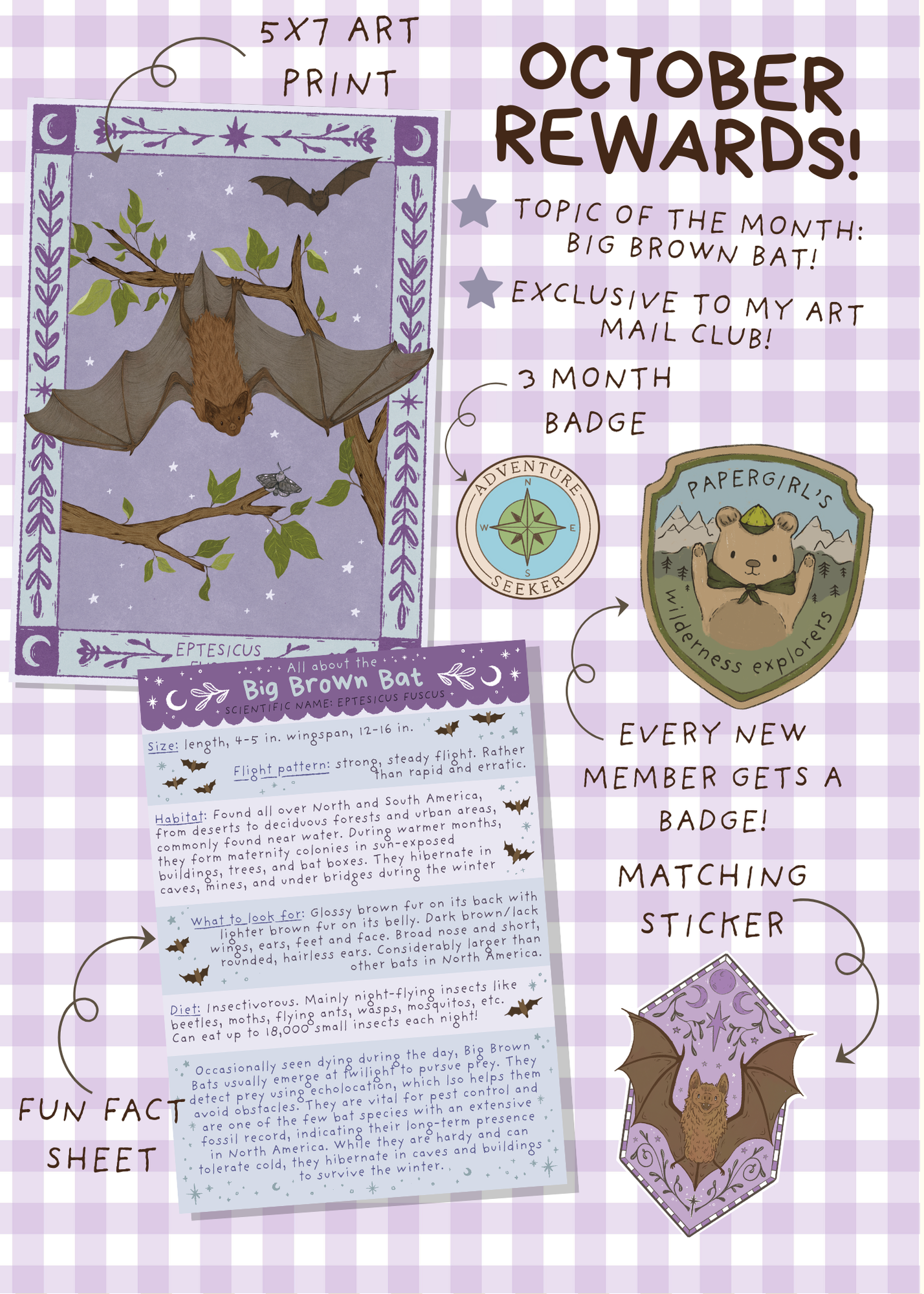 October Mail - Big Brown Bat