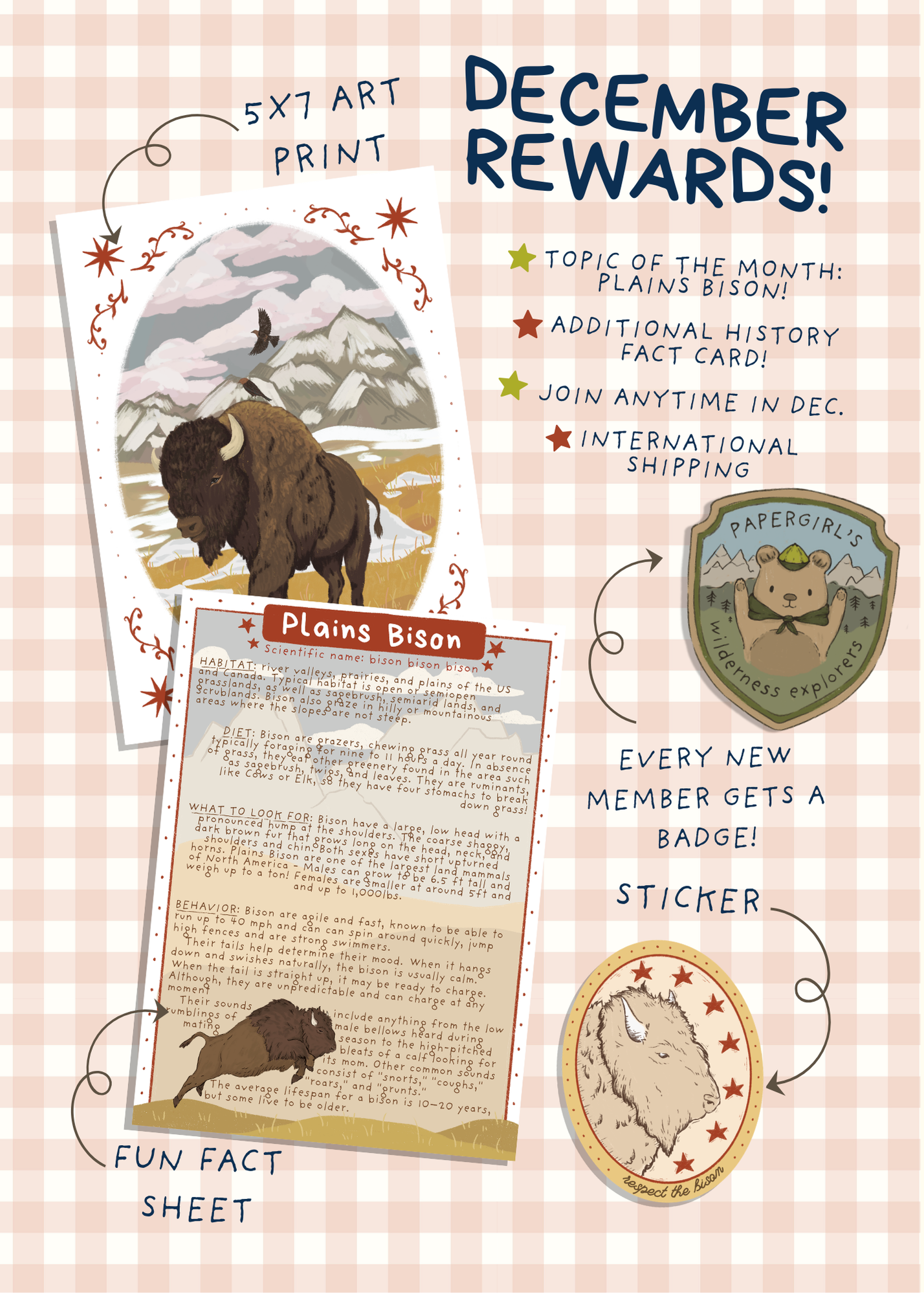 December Mail - Plains Bison