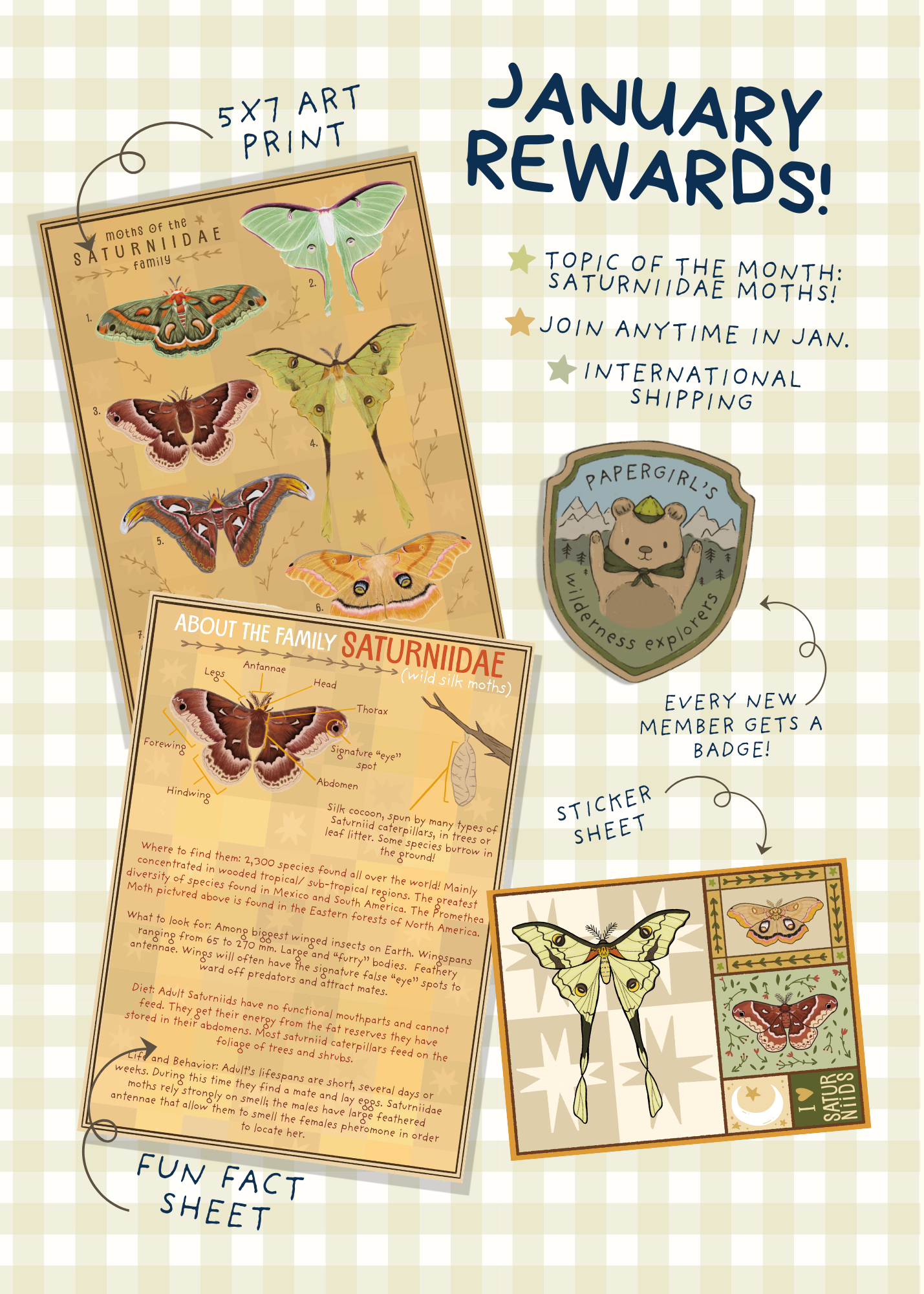 January Mail - Saturniidae Moths