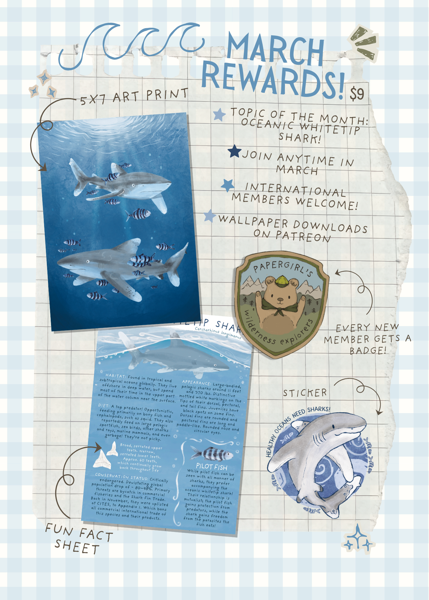 March Mail - Whitetip Shark