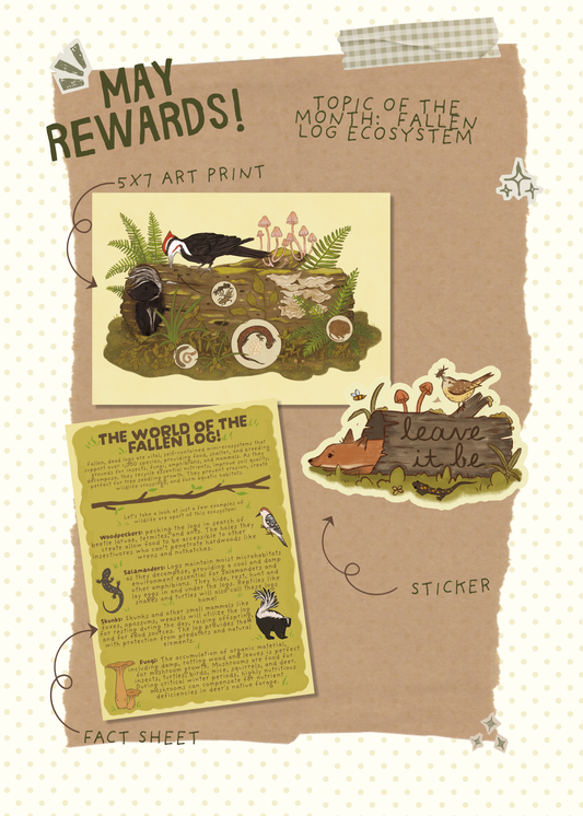 May Mail - Fallen Log Ecosystem