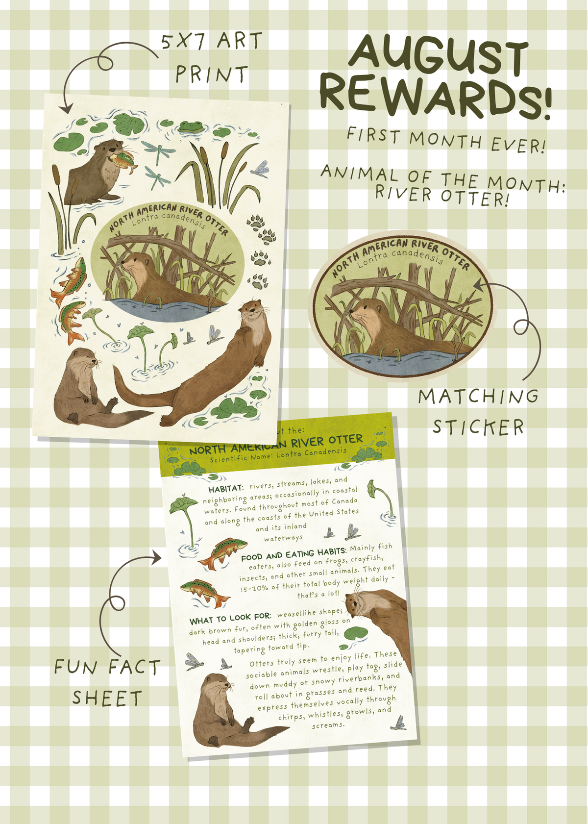 August Mail - River Otter