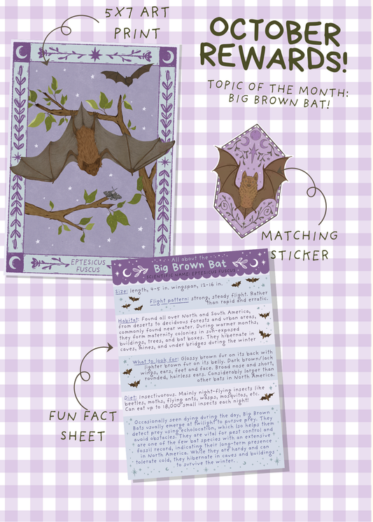October Mail - Big Brown Bat