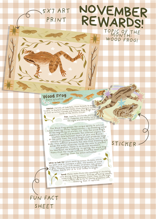 November Mail - Wood Frog