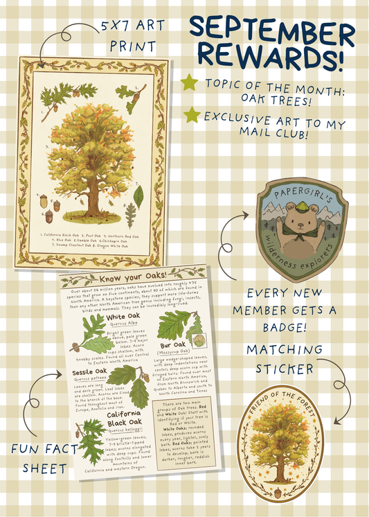 September Mail - Oak Trees