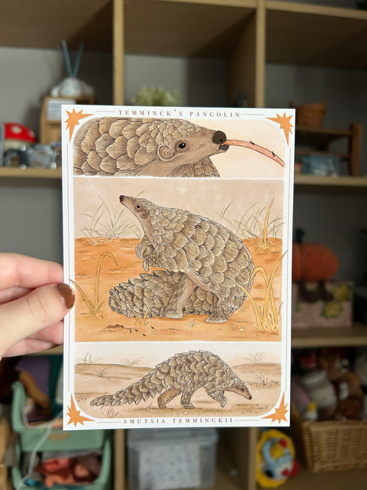Temminck’s Pangolin Print