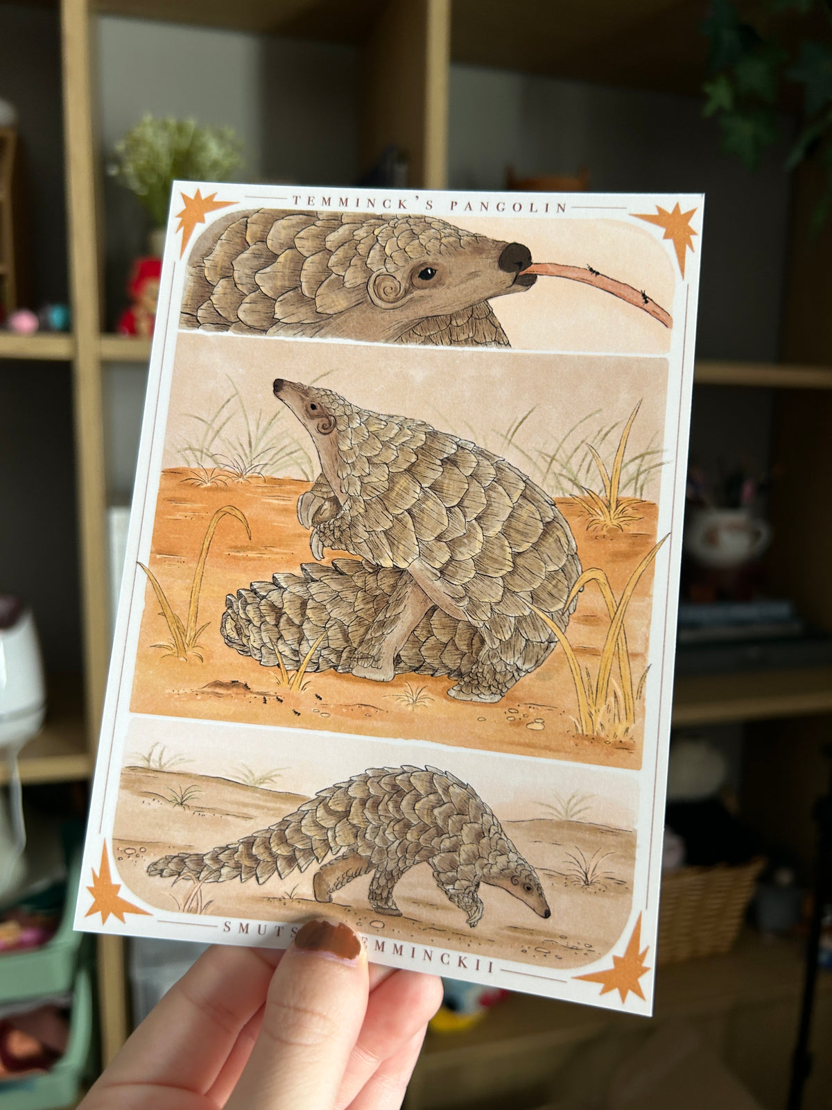 Temminck’s Pangolin Print
