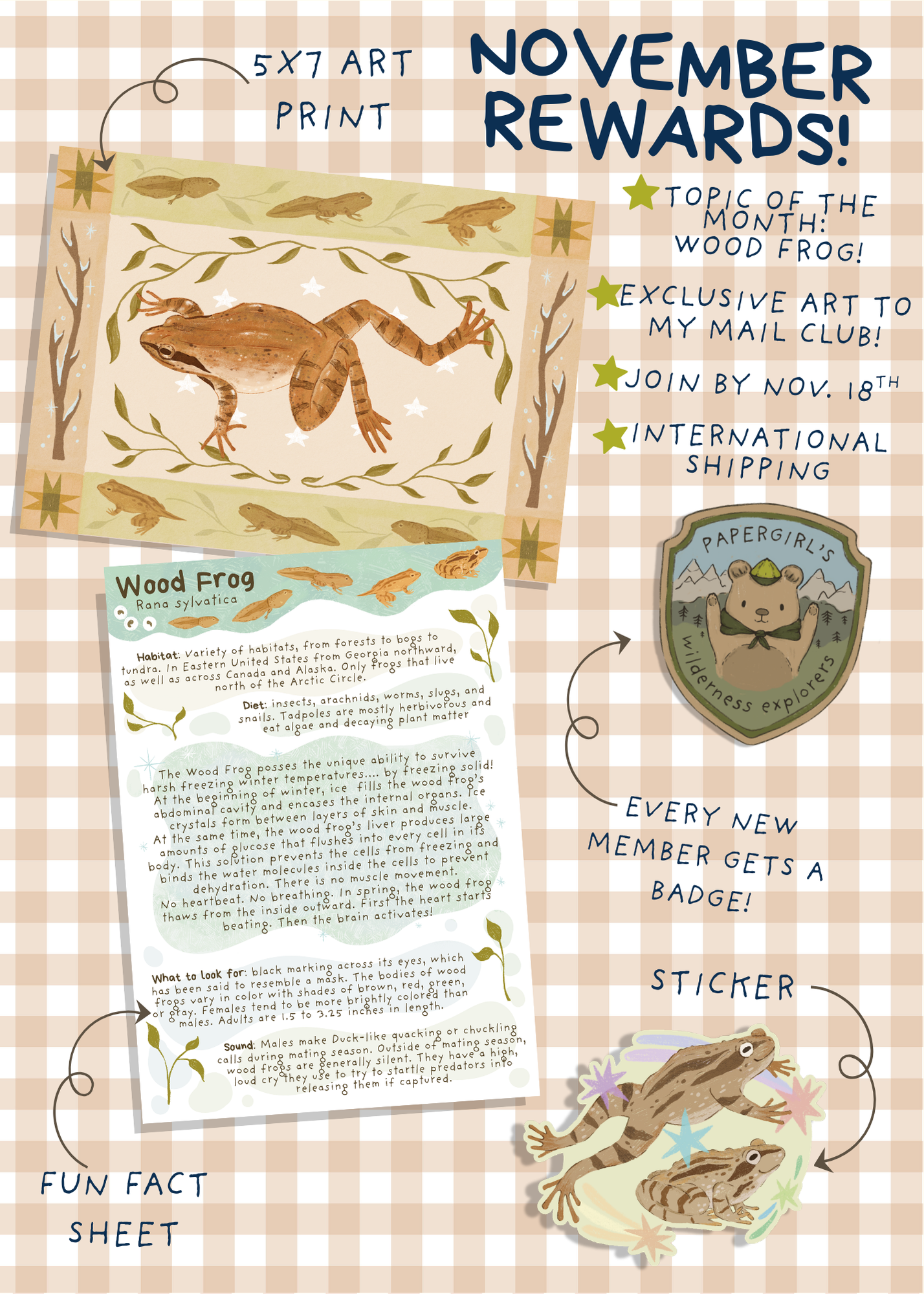 November Mail - Wood Frog