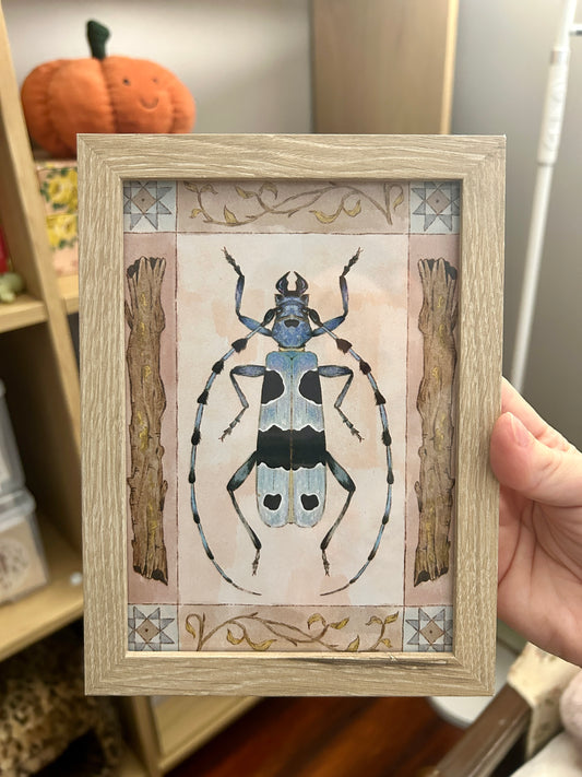 Alpine Longhorn Beetle Print