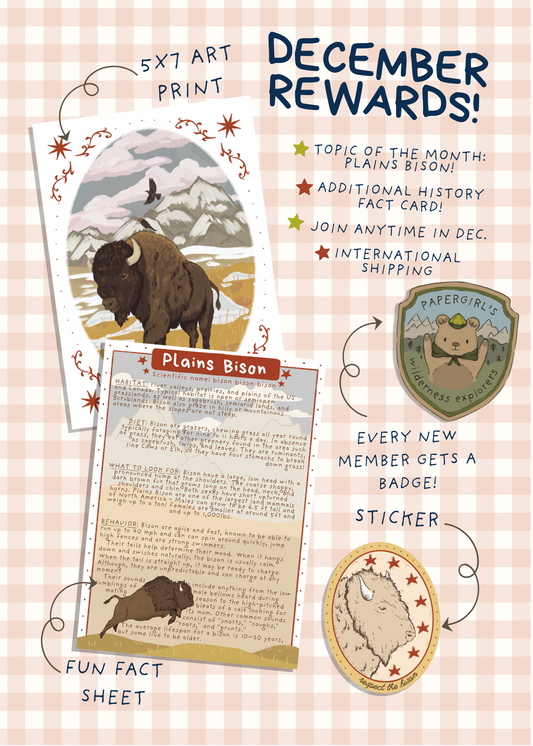 December Mail - Plains Bison