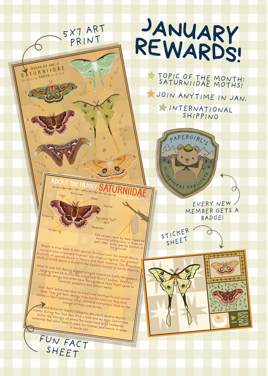 January Mail - Saturniidae Moths