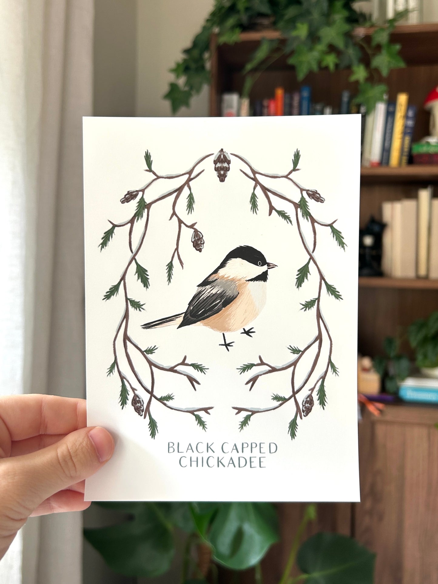 Black Capped Chickadee - Backyard Birds Print Collection